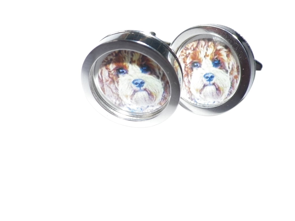 Cockapoo Puppy cufflinks, free shipping, gift wrapped, lovely image, Ref0753