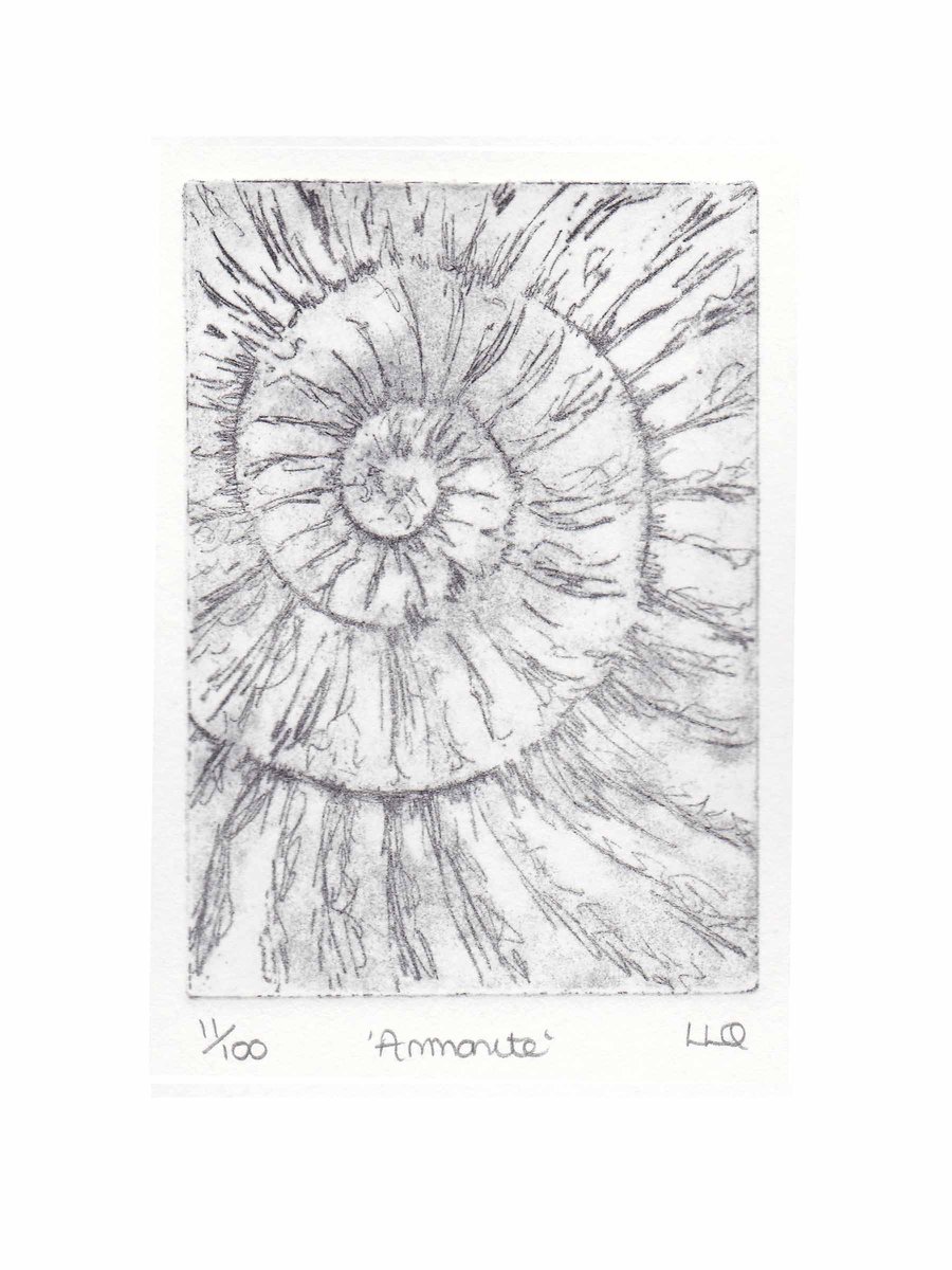 Etching no.11 of an ammonite fossil in an edition of 100