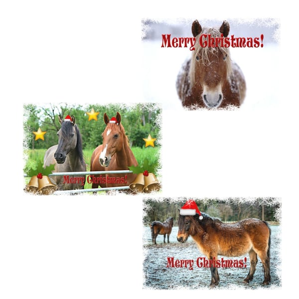  Pack of 3 Mixed Horse or Pony Christmas Cards