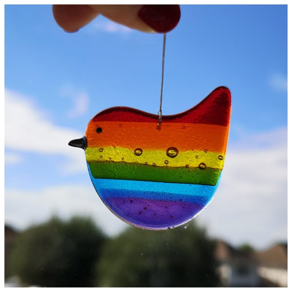 Bubbles, a chunky 'Rainbow Wren of Hope' bird 