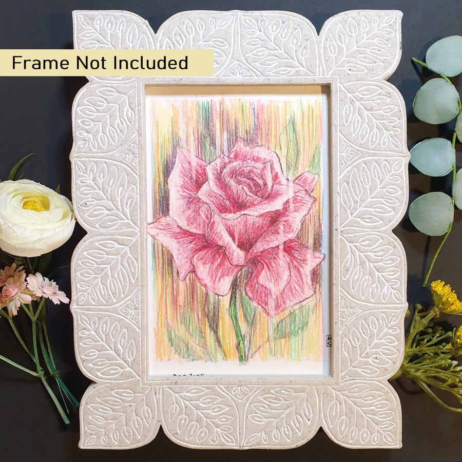 Pink Rose, small letterbox art gift, flower drawing