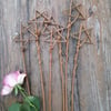 Willow star wand (small)