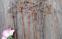Willow Wand