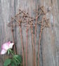 Willow star wand (small)