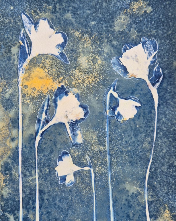 Daffodils Cyanotype Card