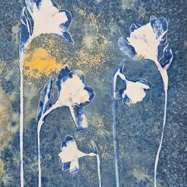 Daffodils Cyanotype Card