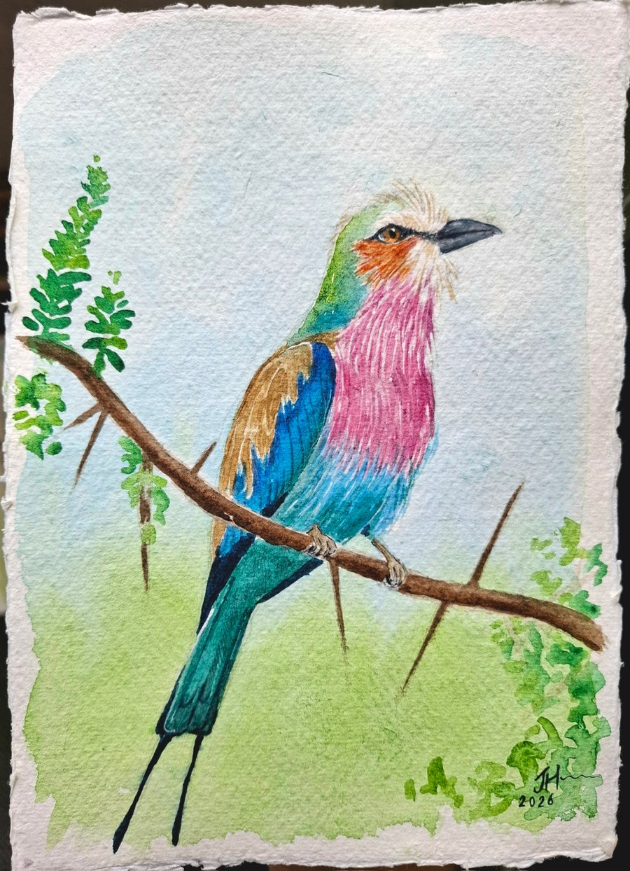Lilac-Breasted Roller 2 Original Watercolour Painting