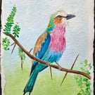Lilac-Breasted Roller 2 Original Watercolour Painting