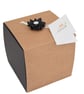 Monkey Book Gift - Image 9
