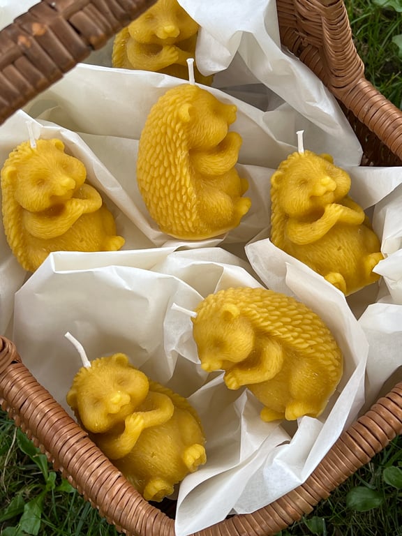 Pure Beeswax Hedgehog Design Candles