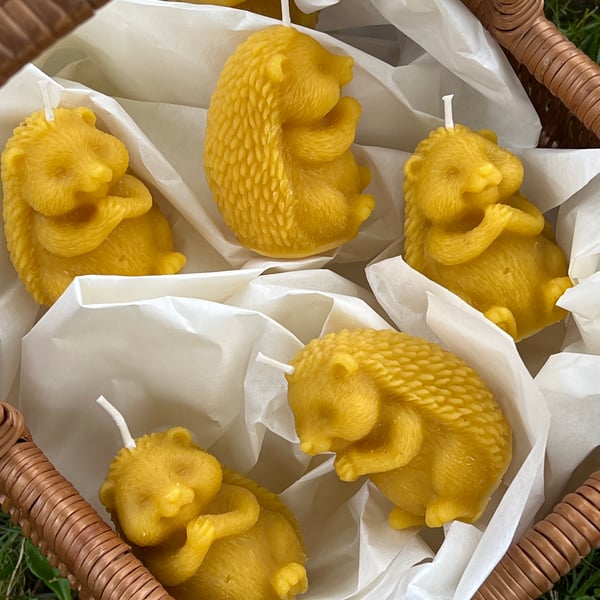 Pure Beeswax Hedgehog Design Candles