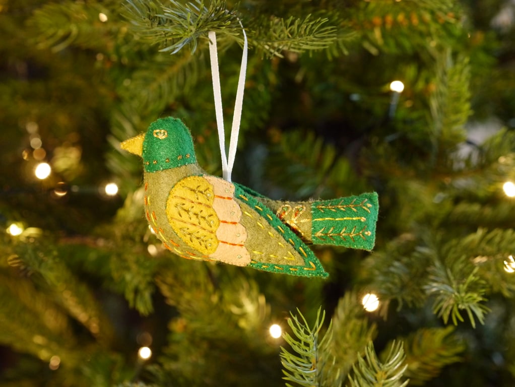 12 Days of Christmas Colly Bird