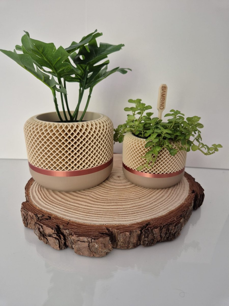 3D printed honeycomb style indoor plant pot.