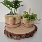 3D printed honeycomb style indoor plant pot.