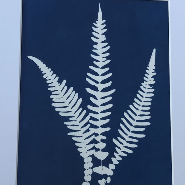 Jaylin - Deer Fern, a Cyanotype Photogram piece of Artwork