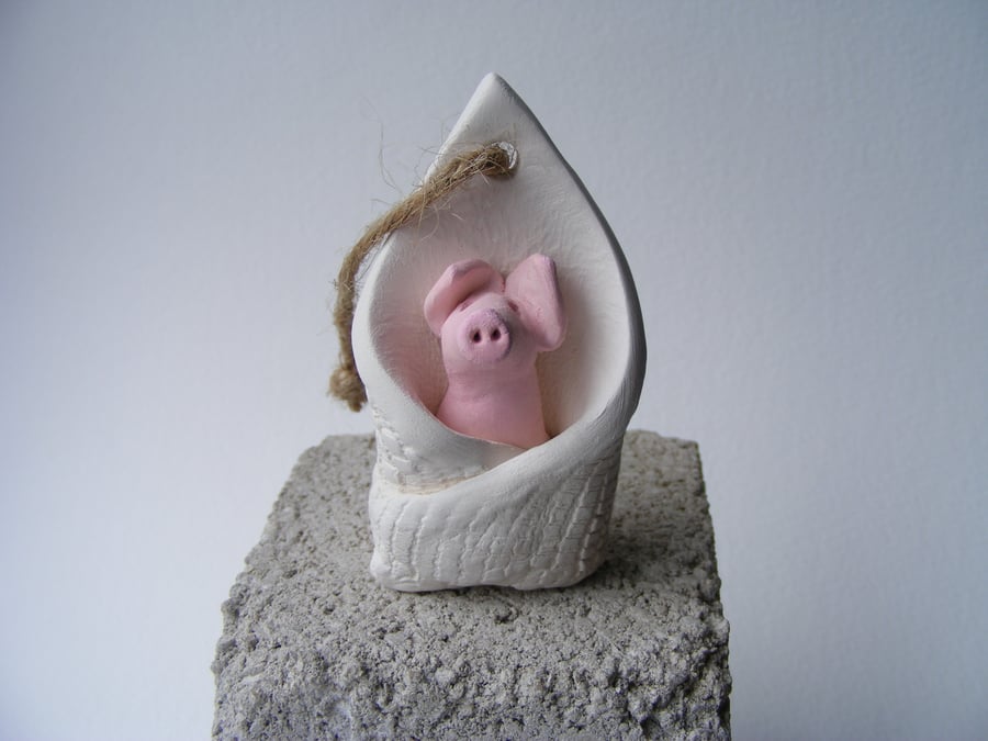 Pig in a blanket (1)