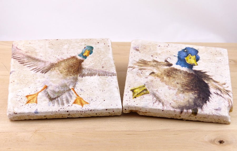 Marble Duck Coasters