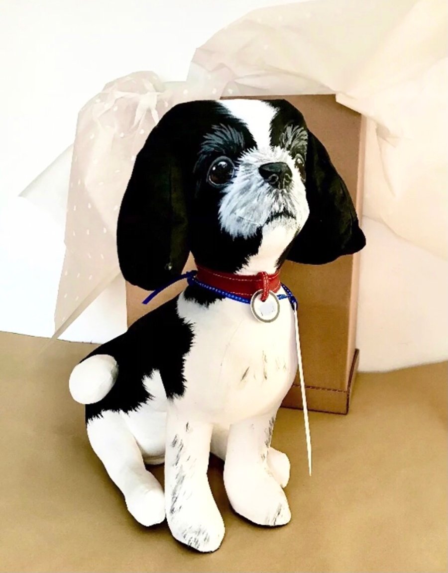 Fully Personalised Shih Tzu