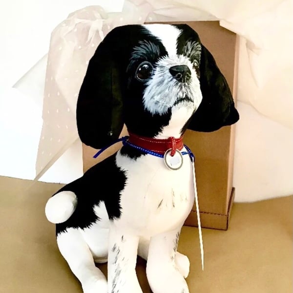 Fully Personalised Shih Tzu