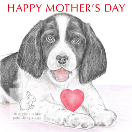 Sally the Springer Spaniel - Mother's Day Card