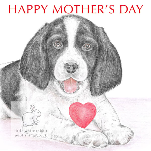 Sally the Springer Spaniel - Mother's Day Card
