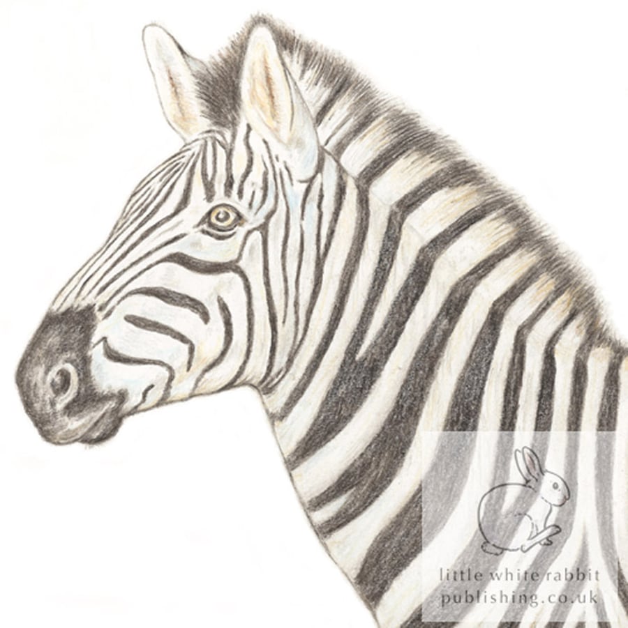 Zebra - Blank Card