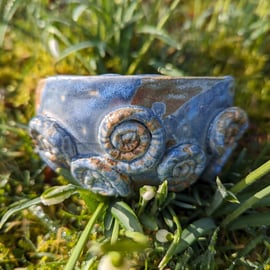 'Maud' small ammonite fossil bowl
