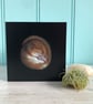 'Snuggle Up', sleeping dormouse, 14.5cm square wildlife art greetings card. - Image 3