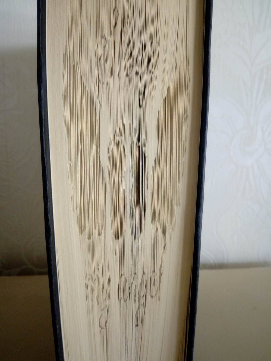 Baby Angel Wings, SHADOW CUT & FOLD Book Folding Pattern - EMAILED PDF PATTERN