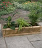 Rustic Solid Wooden plant Herb Trough Planter 60cm - Image 2