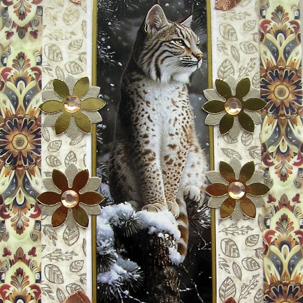 Wildlife Bobcat Animal - Hand Crafted Decoupage Greeting Card - Blank - 3219