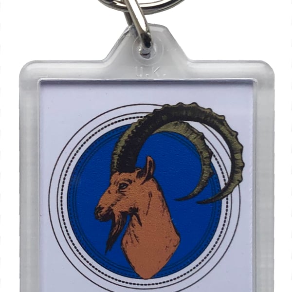 Capricorn Keyring with 50x35mm Insert - The Goat (22nd December - 20th January) 