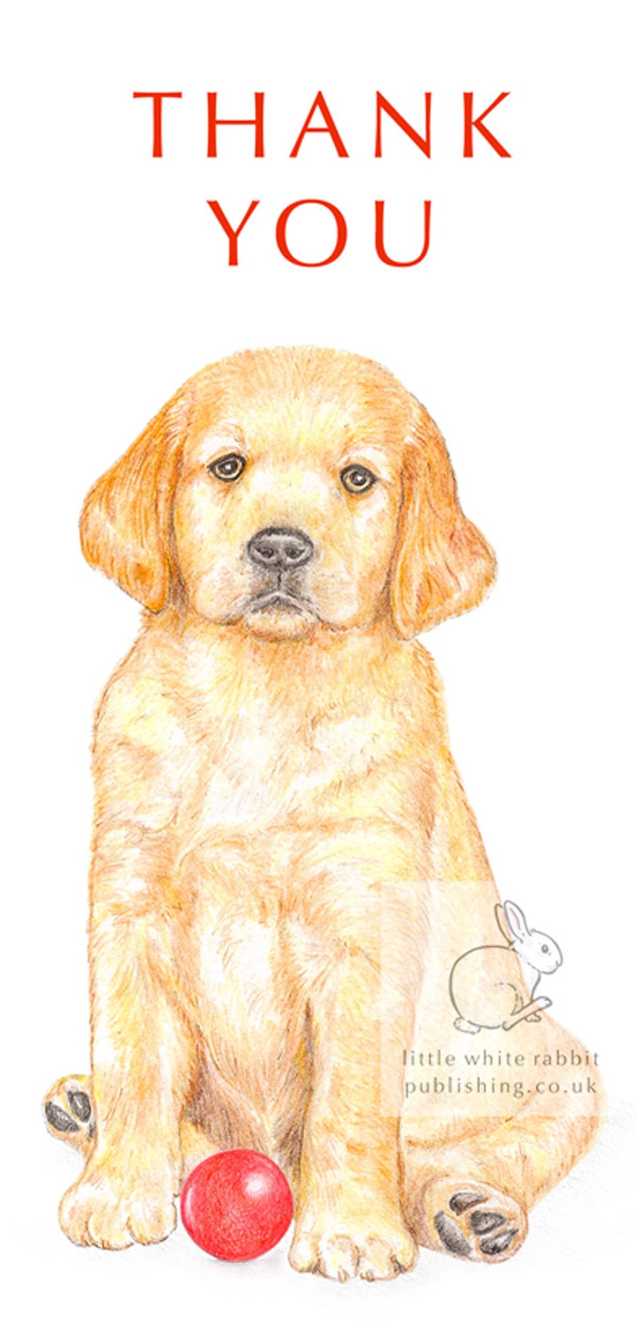 Dexter the Golden Retriever Puppy - Thank You Card