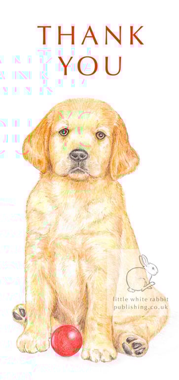 Dexter the Golden Retriever Puppy - Thank You Card