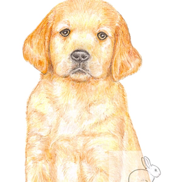 Dexter the Golden Retriever Puppy - Thank You Card