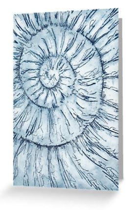 ammonite blank greeting card notelet notecard fossil spiral
