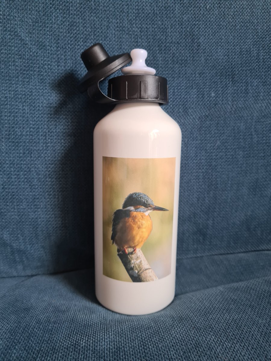 Kingfisher 600ml Aluminium Water Bottle