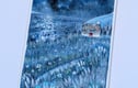 Original Paintings