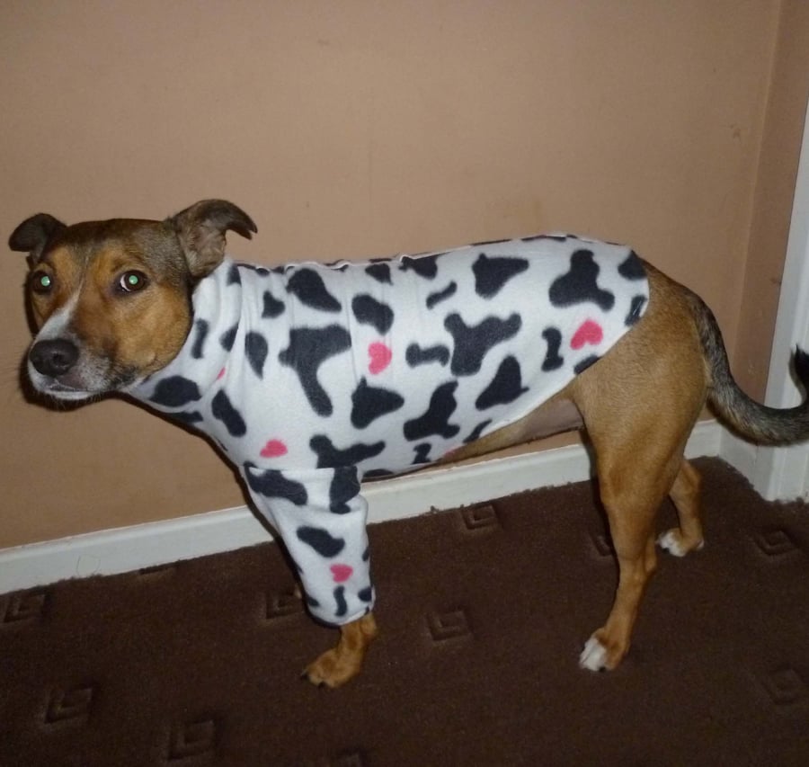 Hand made fleece dog jumper - cow print - large size, 50cm back 
