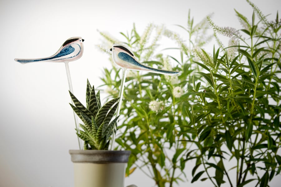 One long-tailed tit on a stem for your pot plant