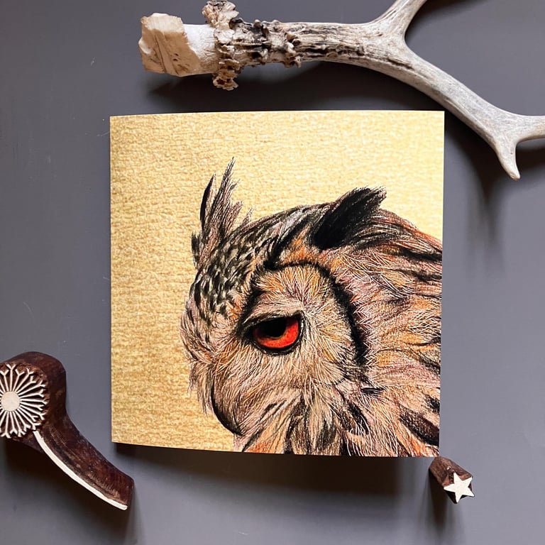 The Wise Old Owl Blank Greeting Card