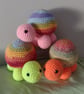 Rainbow Tortoise  - Image 1