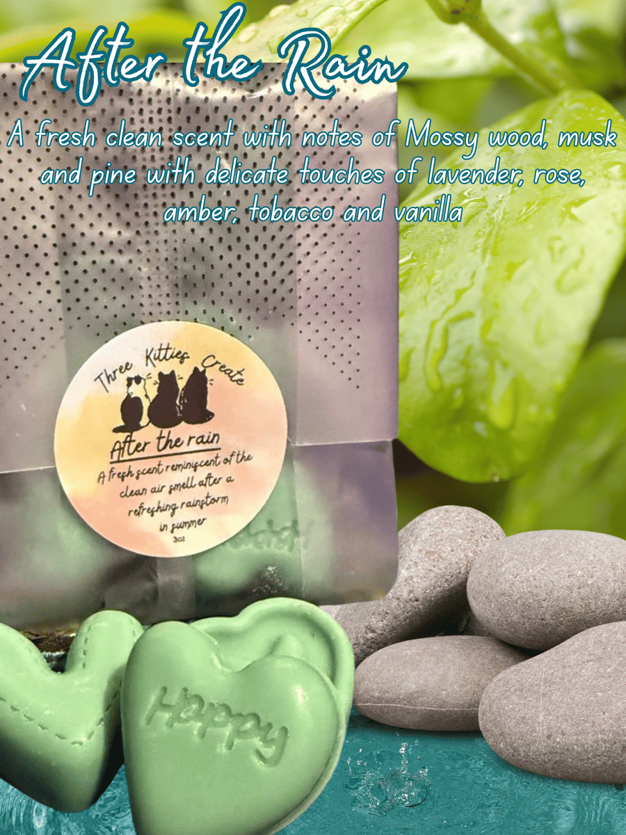 After the Rain Wax Melts