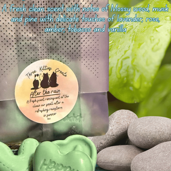 After the Rain Wax Melts