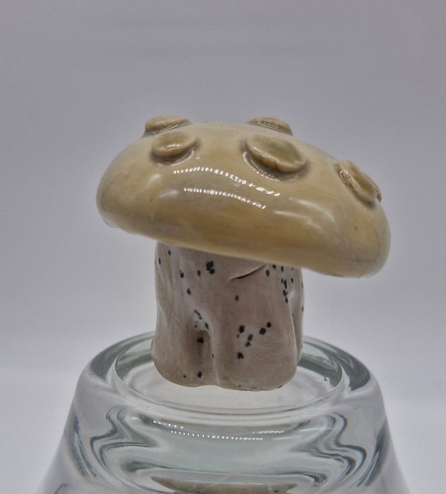 Ceramic Mushroom