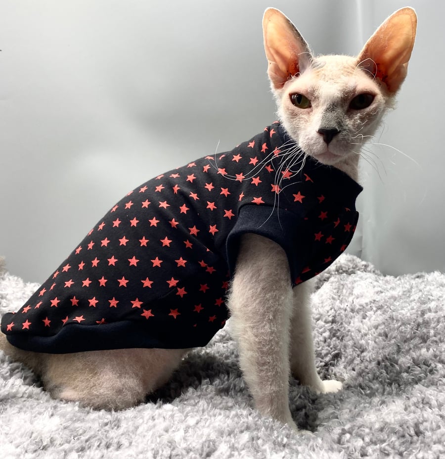 Sphynx cat clothes, SMALL sphynx clothing, cat clothes,hairless cat clothes
