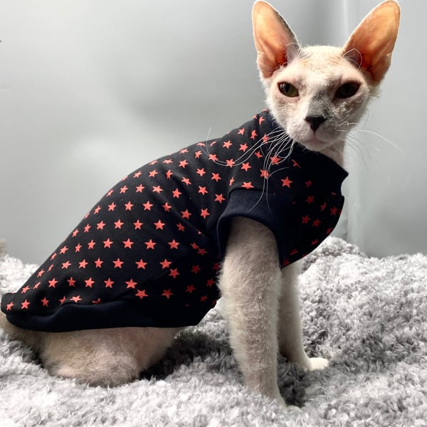 Mewcats Green Sphynx Kittens HOT Hairless Cat Cat Clothes Shop