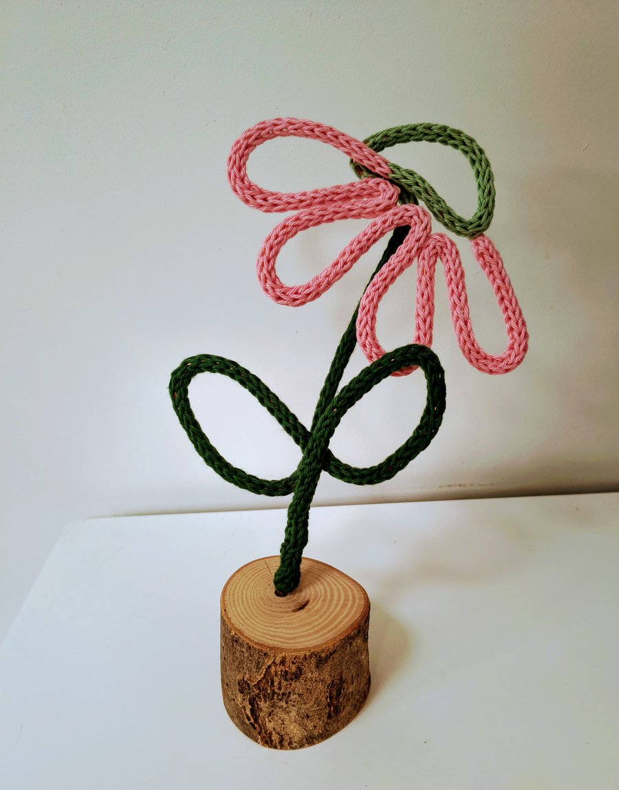 Echinacea, coneflower knitted flower