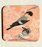 Pink Bullfinch Coaster