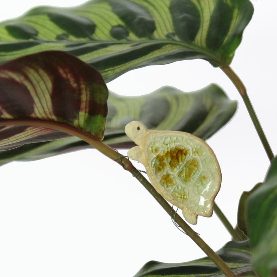 Tortoise Plant Hugger Decoration Gift Card Letterbox Gift